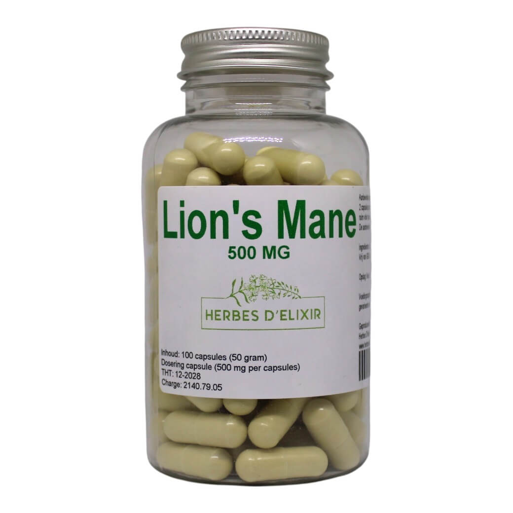 Lion's Mane capsules - 500 mg - 100 capsules