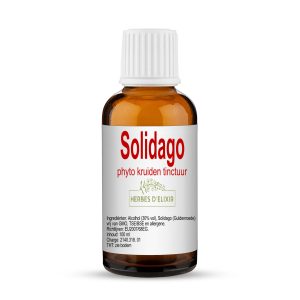 Solidago tinctuur - 100 ml - Herbes D'elixir