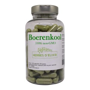 Boerenkool capsules - 500 mg - 100 capsules